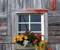 Rustic Flower Boxes