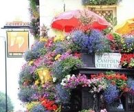 Beautiful Flower Shop
