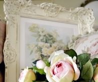 Beautiful Roses