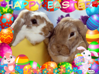 Happy Easter
