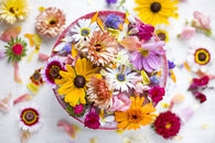 Bowl of Wildflowers