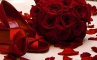 Red Rose Shoes