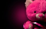 Hot Pink Teddy Bear
