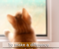 to make a difference