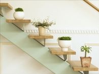 Step Plants