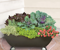 Mobile Patio Garden