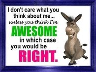 I dont care what you think about me