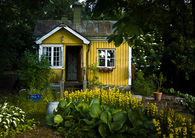 Perfect yellow cottage