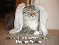 Happy Easter
