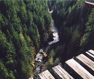 Long way down