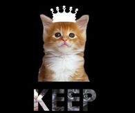 Keep calm and love cats