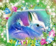 Spring