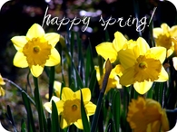 Happy Spring