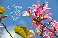 Happy Spring