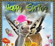 Happy Spring