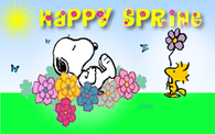 Happy Spring
