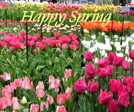 Happy Spring