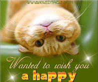 A happy wednesday