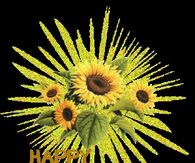 Happy Wednesday