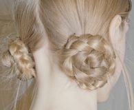 Twisted braids