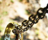 Chain and ring
