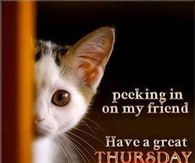 Have a great Thursday