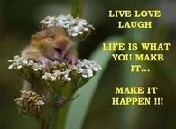 Life is what you make it