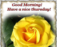 Have a nice thursday