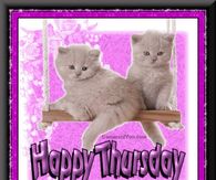 Happy Thursday