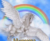 Happy Thursday