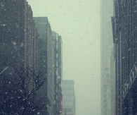 Nature & Snow