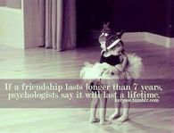 If A Friendship Lasts More than 7 Years