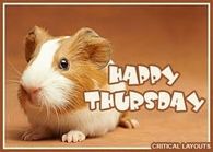 Happy Thursday