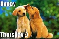 Happy Thursday