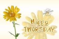 Happy Thursday