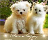 Happy Thursday