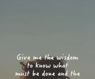 Give me the wisdom