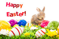Happy Easter