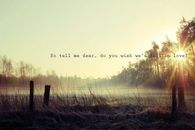 Do you wish we'd fall in love?