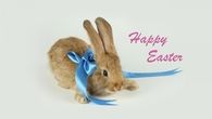 Happy Easter