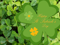 Happy St Patricks Day