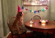 Birthday boy