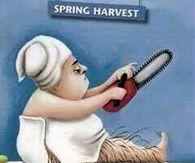Spring Harvest