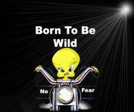 Born to be wild
