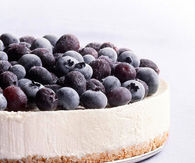 Frozen blueberry cheesecake