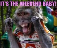 Its the weekend baby