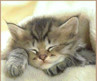 Relax its the weekend