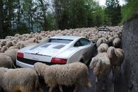 Laaamborghini!!