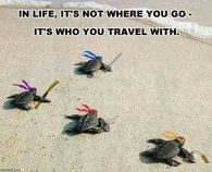 in life