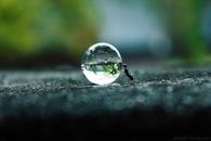 Ant And A Rain Water Bubble
